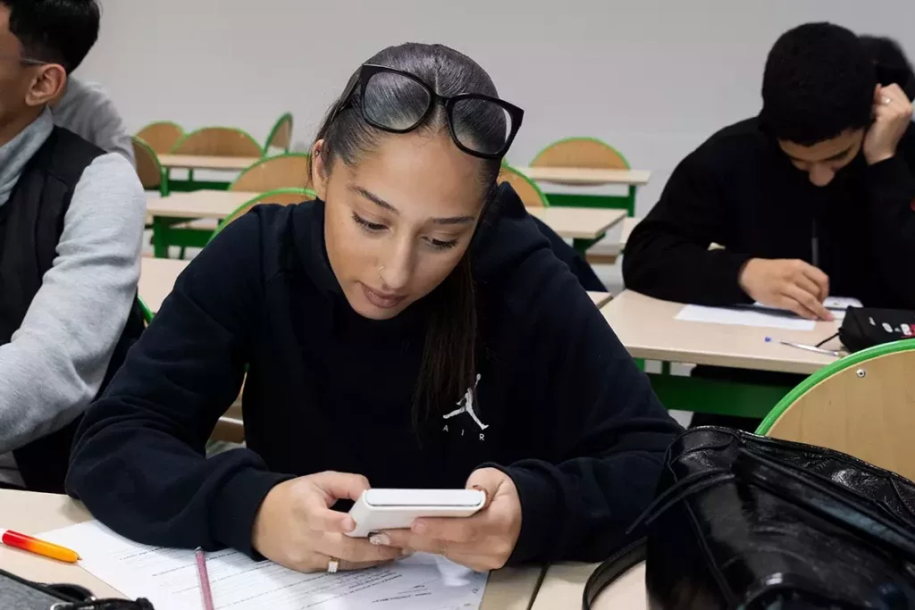 Bac_Techno_STMG_LycéeLouisArmand