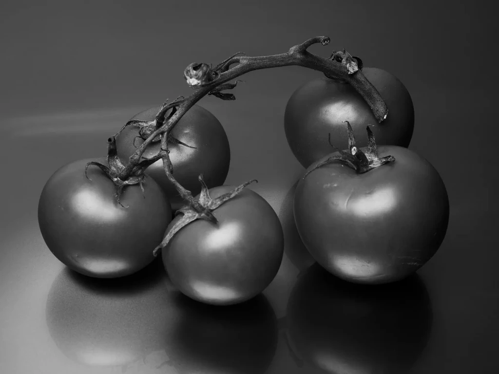 Studio_Brillance_LycéeLouisArmand_00011