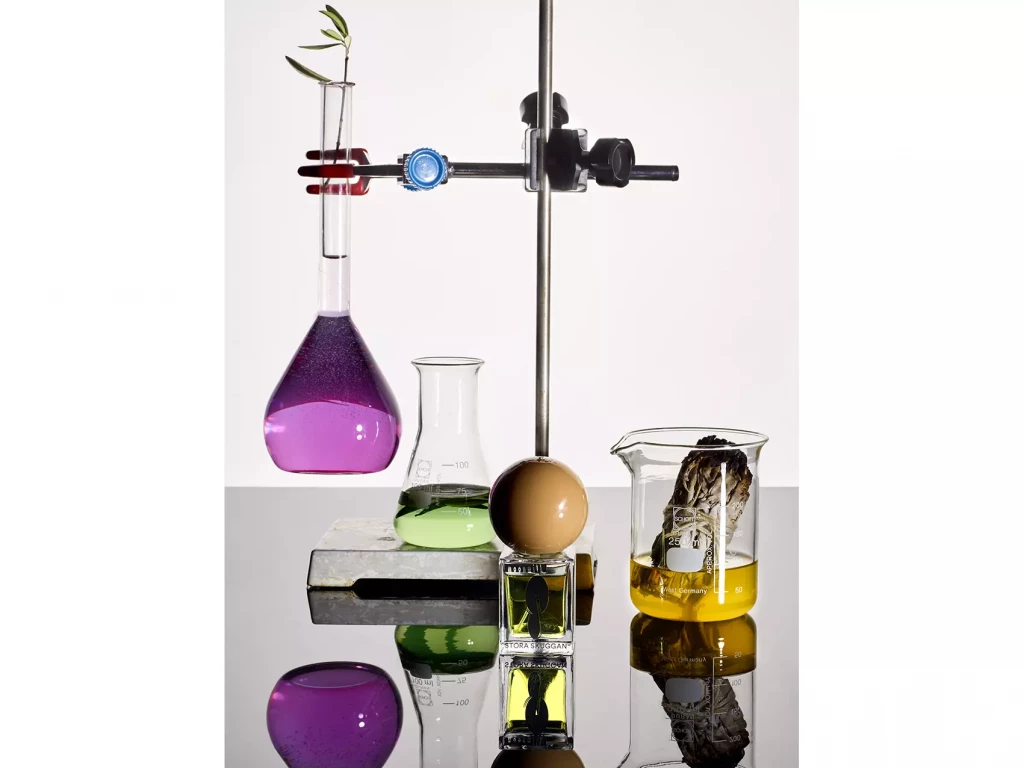 Studio_Transparence_LycéeLouisArmand_00026