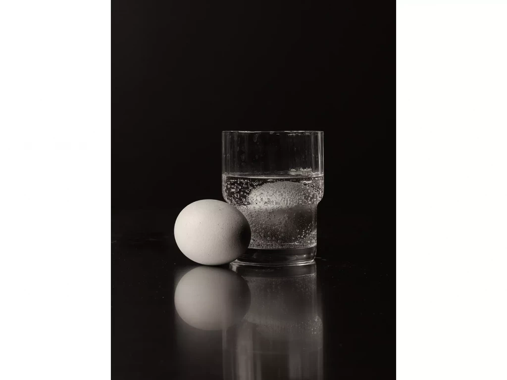 Studio_Transparence_LycéeLouisArmand_00028