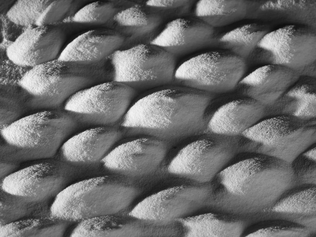 Dust_Bac_pro_photo_Lycee_Louis_Armand_Paris_0006