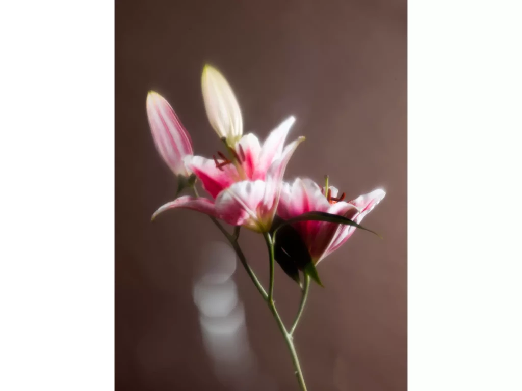NetFlou_Bac_pro_photo_Lycee_Louis_Armand_Paris_0014