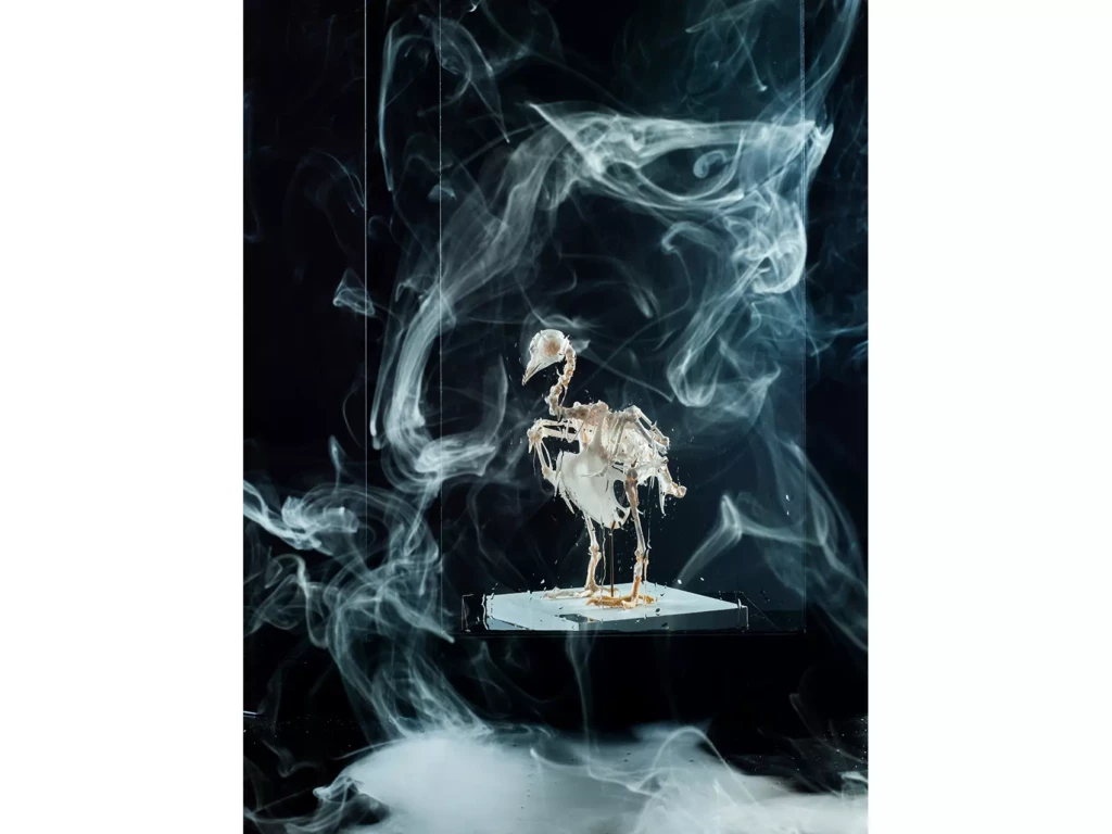 VolMat_Bac_pro_photo_Lycee_Louis_Armand_Paris_0035